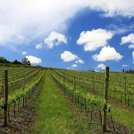 Nyaraló Quinta Dos Capuchos Casa Da Adega Alcobaça